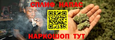 тгк Заводоуковск