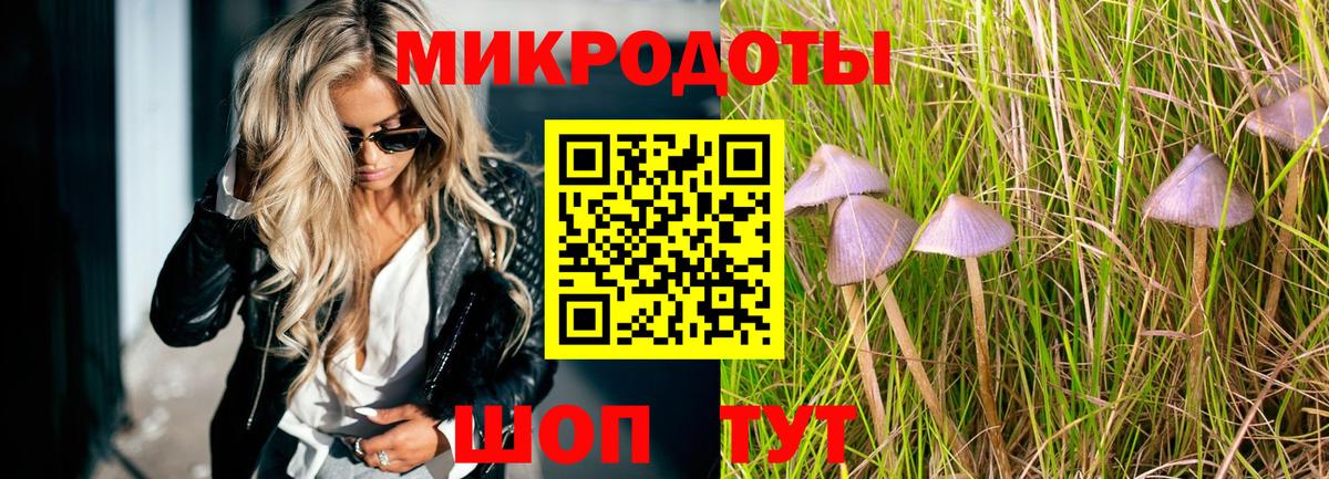 Мариинск  Псилоцибиновые грибы Psilocybe  Вход с VPN 