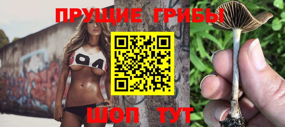 Псилоцибиновые грибы GOLDEN TEACHER Мариинск
